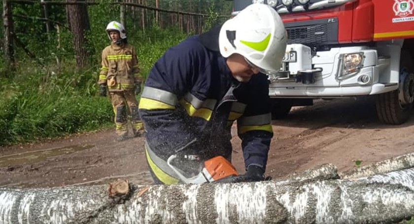 Zdjęcie ratownika tnącego piłą powalone na drogę drzewo