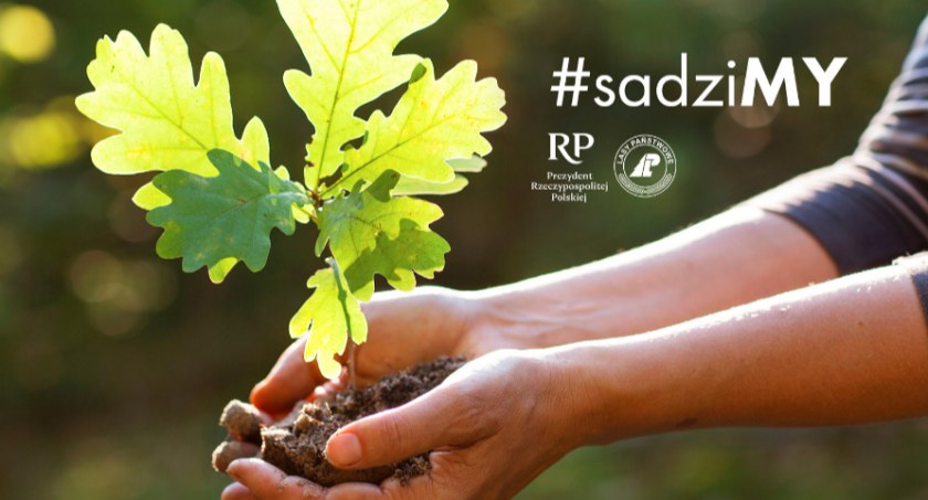 Zdjęcie rąk trzymających sadzonkę dębu