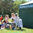 zdjęcie nr 53