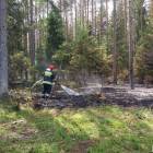 Fotka nr 5 z 25
