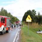 zdjęcie nr 18