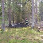 Fotka nr 1 z 25