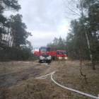 Fotka nr 2 z 3