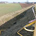 zdjęcie nr 7