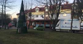 Fotka nr 1 z 11