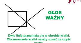 Fotka nr 3 z 22