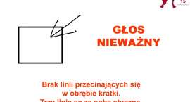 zdjęcie nr 11