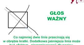 Fotka nr 5 z 22
