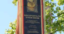 Fotka nr 1 z 31