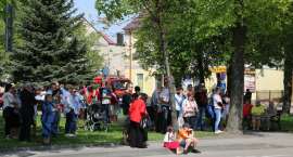 zdjęcie nr 42