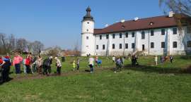 zdjęcie nr 15