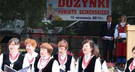 zdjęcie nr 27