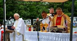 zdjęcie nr 16