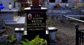 zdjęcie nr 10