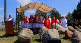 zdjęcie nr 7