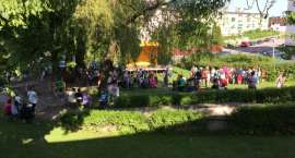 zdjęcie nr 14
