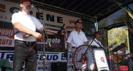 zdjęcie nr 15