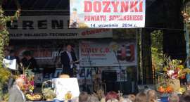 zdjęcie nr 8