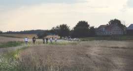 zdjęcie nr 8