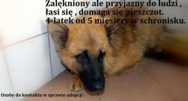 Fotka nr 0 z 5