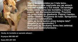 Fotka nr 4 z 5