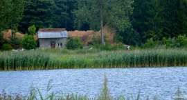 zdjęcie nr 34