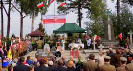 zdjęcie nr 7