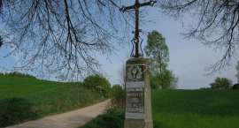 zdjęcie nr 7
