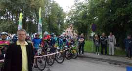 zdjęcie nr 12