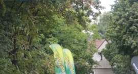zdjęcie nr 16