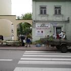 zdjęcie nr 240
