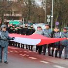 zdjęcie nr 7