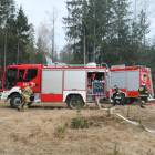 Fotka nr 3 z 31
