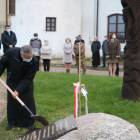 zdjęcie nr 26