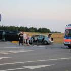 Fotka nr 2 z 13