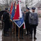 zdjęcie nr 14