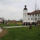 zdjęcie nr 8
