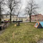 zdjęcie nr 7