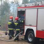 zdjęcie nr 8
