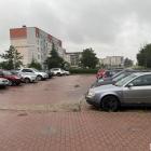 Fotka nr 2 z 4