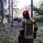 Fotka nr 1 z 13