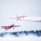 Fotka nr 5 z 12
