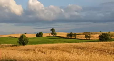 10. Bieg wśród Krasnych Pól