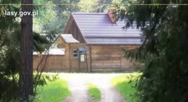 Piknik Rodzinny na Buduku