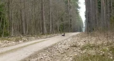 Leśne spotkanie dla prowadzących gospodarstwa agroturystyczne